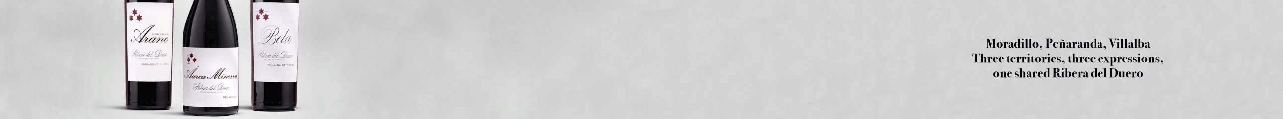 Banner PC en