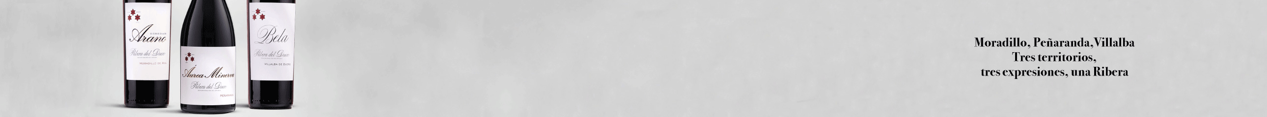 Banner PC es