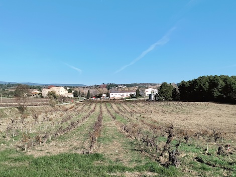 Parés Baltà in Penedès: local roots, global aspirations