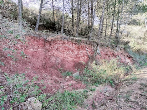 Parés Baltà in Penedès: local roots, global aspirations