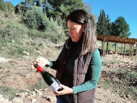 Parés Baltà in Penedès: local roots, global aspirations