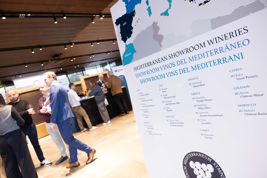 Exploring the essence of Mediterranean wines