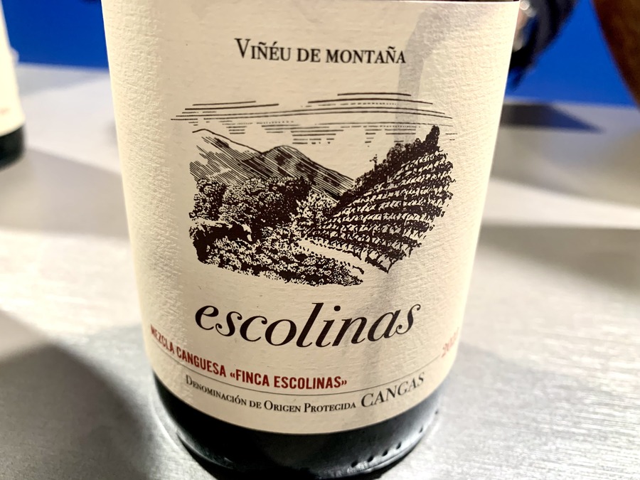 Escolinas Mezcla Canguesa 2023 Red