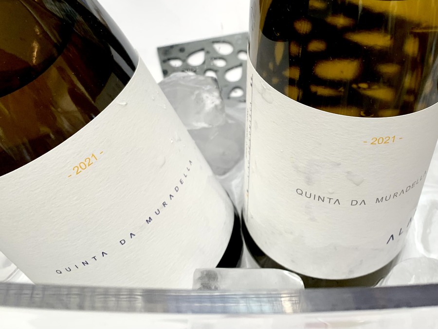 Quinta da Muradella Alanda 2021 White