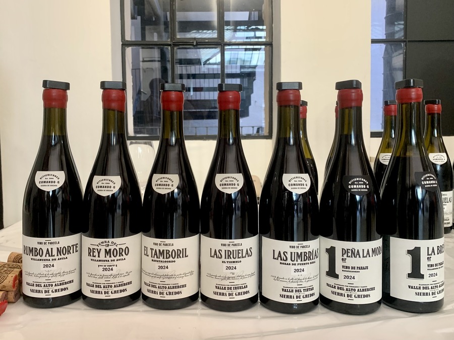 Spanish wines hold firm in the 2024 en primeur campaign 