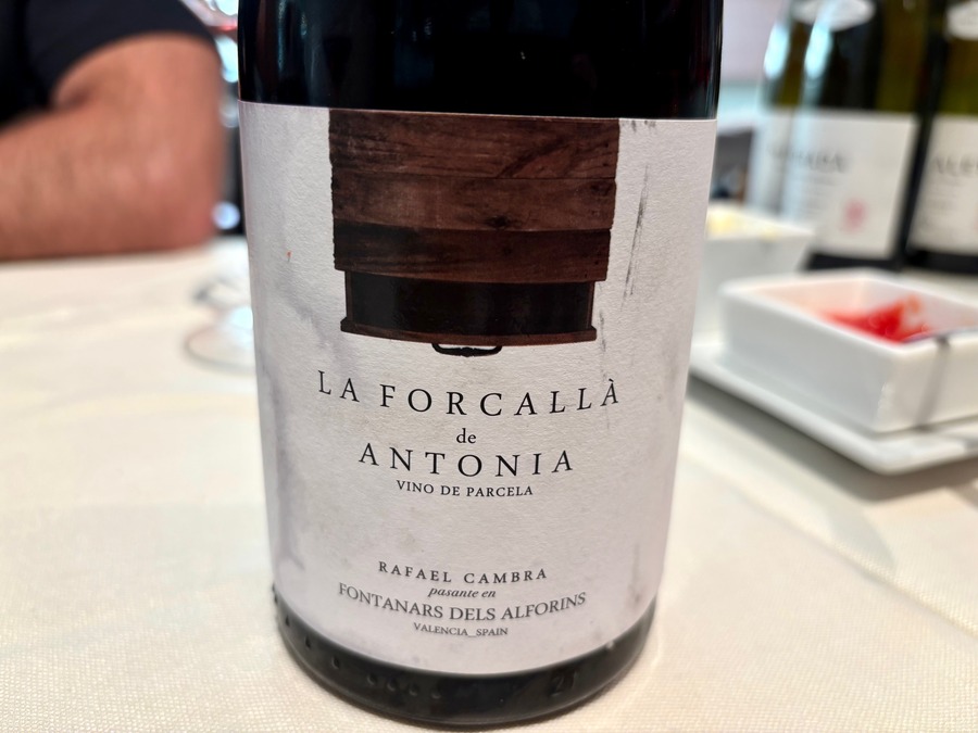 La Forcallà de Antonia 2024 Tinto