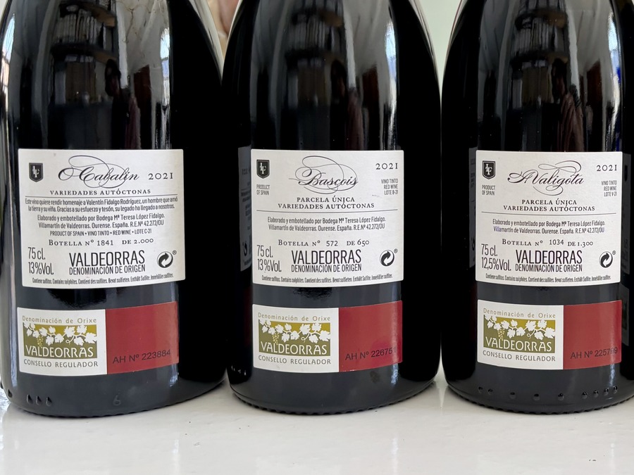 Valdeorras: selección de tintos