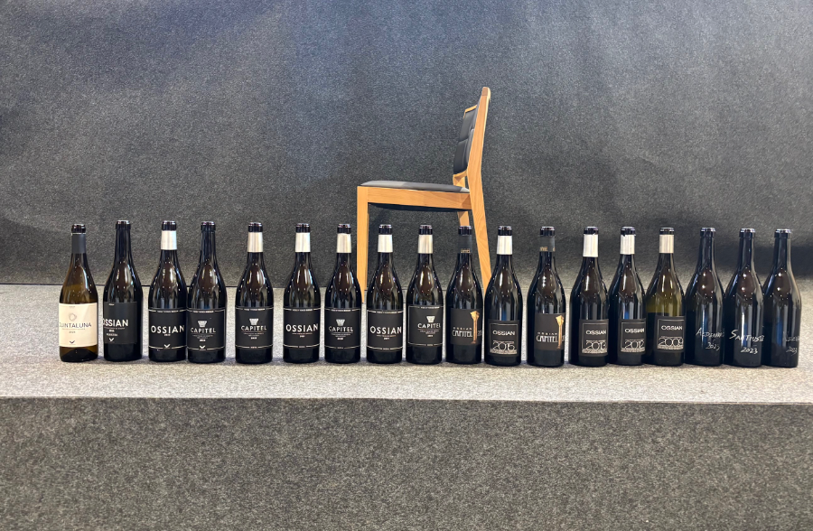 Ossian: una retrospectiva de verdejos prefiloxéricos hasta 2009