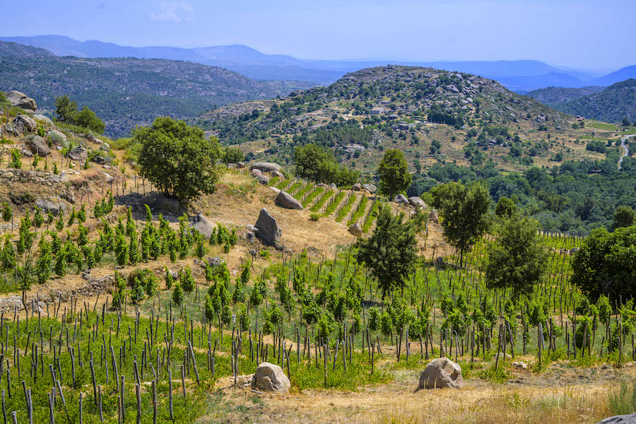 Domaine Dexaie: una mirada sin prisas para reflejar el paisaje de Gredos