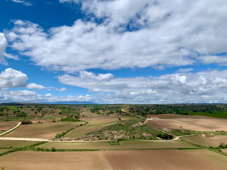 La nueva Ribera de los pueblos y una lista de vinos para explorarla