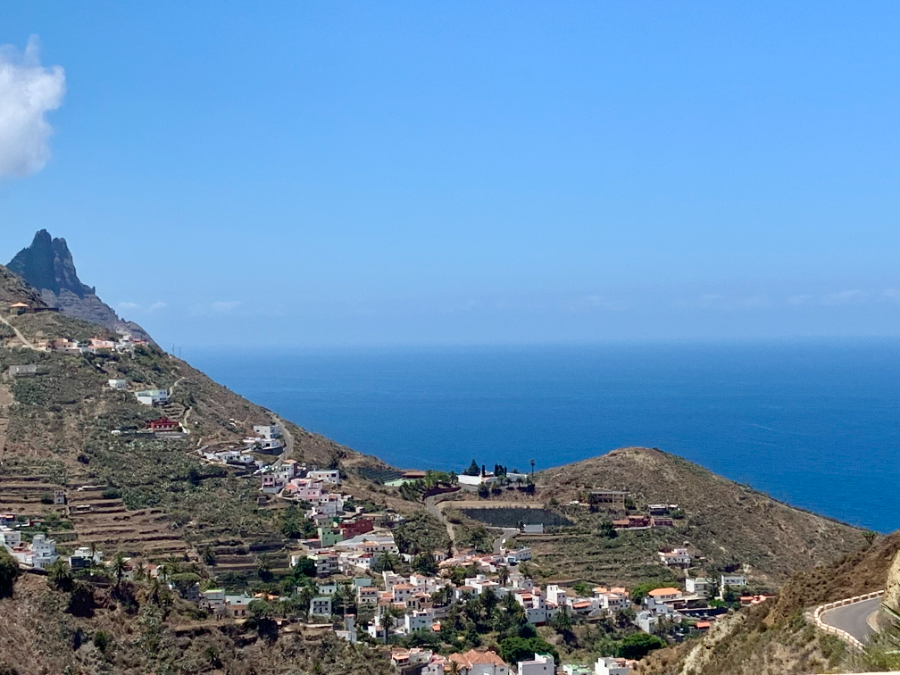Vinos de islas: entre la fascinación y la supervivencia