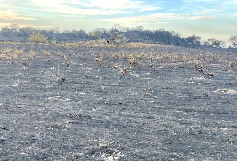 El fuego quema 11.000 hectáreas en Arribes del Duero