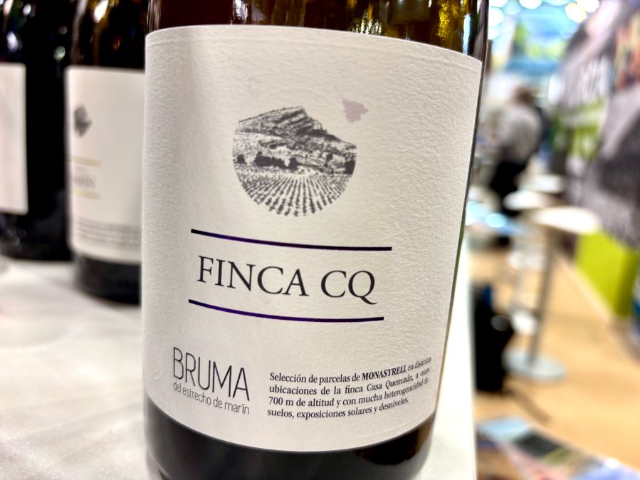 Finca CQ 2024 Tinto