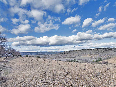 Sommos Garnacha