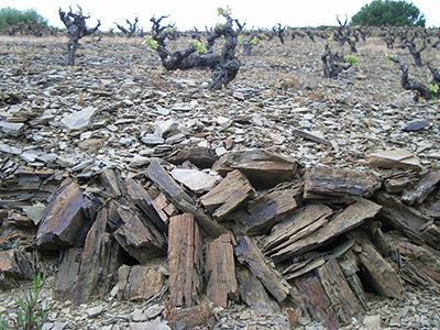 Terroir al Límit