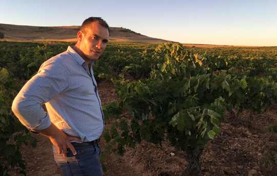 Francisco Barona, el paladín de las viñas viejas