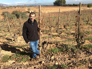 Recaredo, a terroir-driven Cava