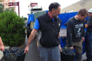 Destemming grapes with Abel Mendoza in Rioja