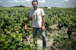 Alba Viticultores: rebeldía espumosa made in Sanlúcar