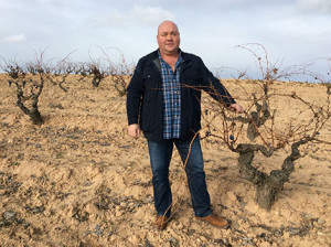 Viña Sastre, winegrowers in La Horra