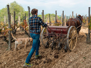 “My dream is to compete on equal terms with Champagne”