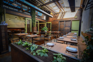 Cava brings a sparkle to the US craft-cocktail movement