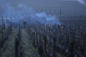 Wine tastings in November 2017