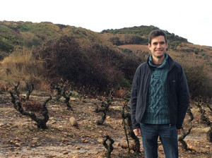Ojuel recovers supurao, a traditional sweet wine from Rioja