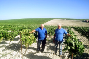 Callejuela: countryfolk bottling terroir in the Sherry Triangle