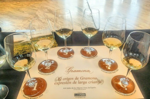 Wine tastings in December 2018