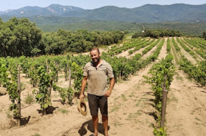 Cosmic Vinyaters champions rare Cariñena Blanca in Empordà