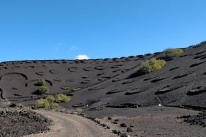 Puro Rofe: the new wine frontier in Lanzarote 