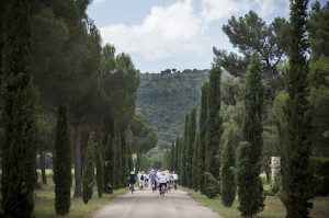 Wine tastings in June 2019