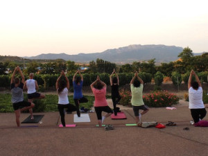 Wine tastings in August 2019