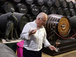 Estévez: a vision of the Sherry Triangle from Macharnudo to Miraflores