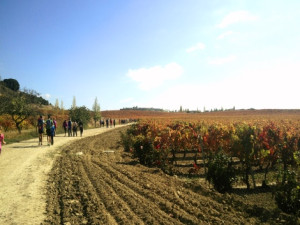 Wine tastings in October 2019