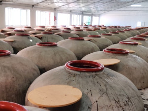 Wine tastings in November 2019