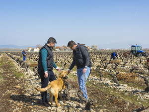 Finca la Emperatriz: when less is more