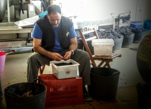 Wine tastings in February 2020