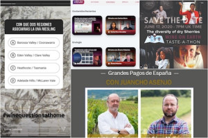 Virtual wine tastings agenda in June 2020