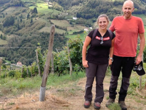 A new lease of life for the long-forgotten wines of Asturias 