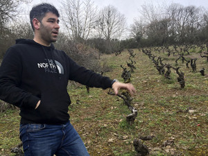 César Márquez, a promising name in Bierzo