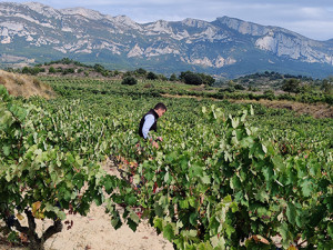 Alma Carraovejas and the push of the second generation