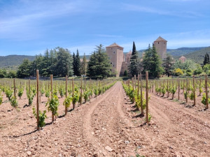 Conca de Barberà: Monasteries, modernist bodegas and Trepat