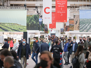 BWW 2022 confirms the vitality of the Spanish wine scene