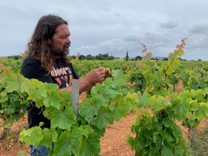    Pep Rodríguez, from Soca-Rel: growing local varieties in Mallorca  