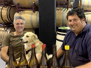 Aseginoloza & Leunda: evocative Garnachas that began as a hobby