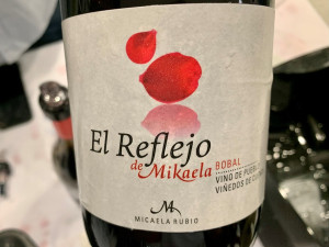 El Reflejo de Mikaela 2020 Red