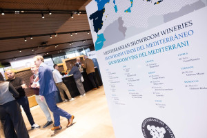 Explorando la esencia de los vinos Mediterráneos