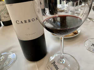 Carroa 2021 Red